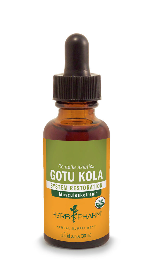 Herb Pharm Gotu Kola Herbal Extract, 1 fl oz - Cozy Farm 