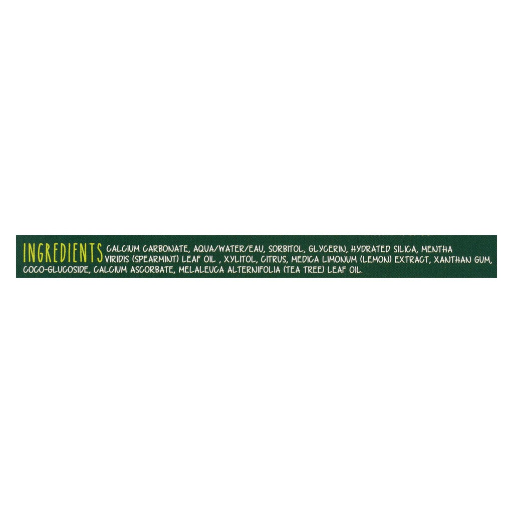 Green Beaver Spearmint Toothpaste (Pack of 1 - 2.5 Fl Oz.) - Cozy Farm 