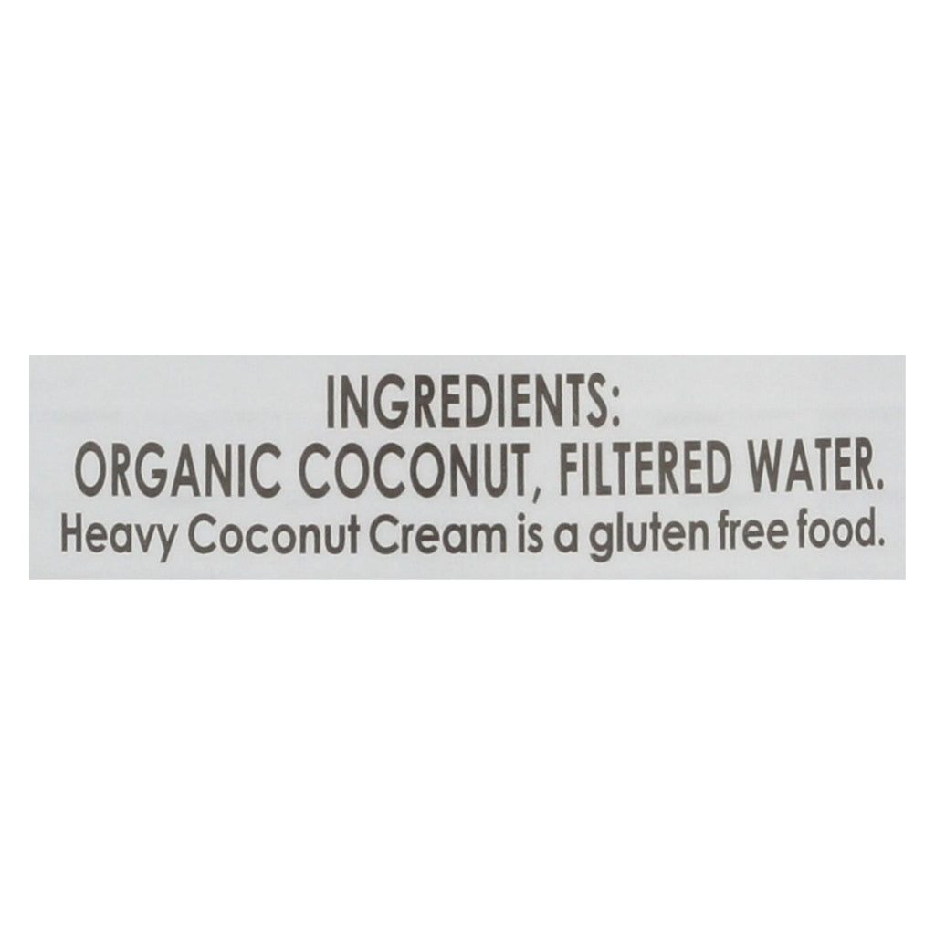 Let's Do Organic Coconut Cream 13.5 Fl Oz (Pack of 12) - Certified Organic, Dairy-Free - Cozy Farm 