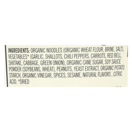 Dr. McDougall's Spicy Kung-Pao Asian Noodle Soup (Pack of 6 - 2 Oz.) - Cozy Farm 