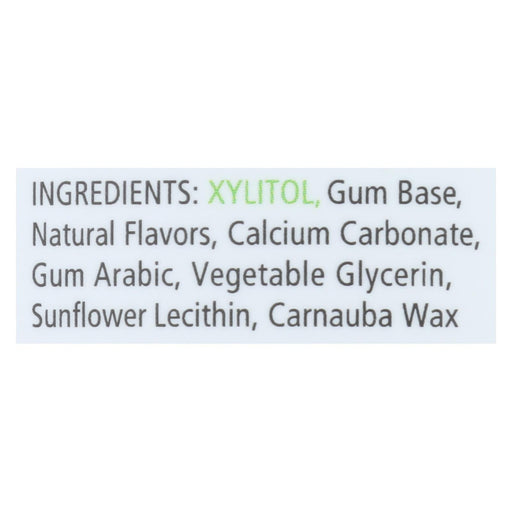 Spry Xylitol Cinnamon Flavor Chewing Gum (100 ct) - Cozy Farm 