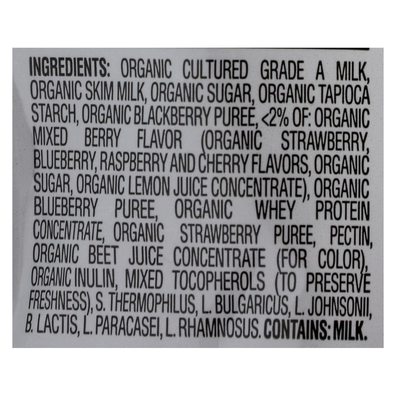 Happy Baby Organic Superfoods Yogurt & Fruit Snacks Mixed Berry (Pack of 8) - 1 Oz - Cozy Farm 
