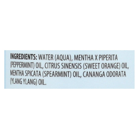 Aura Cacia Aromatherapy Energizing Peppermint Mist (4 Fl Oz) - Cozy Farm 