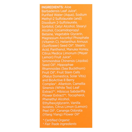 Andalou Naturals Meyer Lemon Creamy Cleanser for Combination Skin - Cozy Farm 