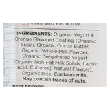 Element Organic Vanilla Orange Dipped Rice Cakes (Pack of 6 - 3.5 Oz.) - Cozy Farm 