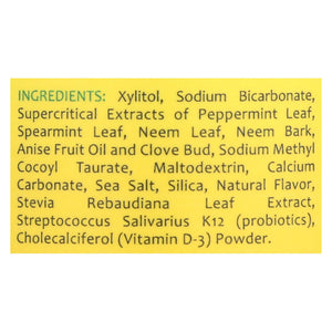 Theraneem Naturals Gentle Mint TheraNeem Neem Tooth & Gum Powder - 40 Gram - Cozy Farm 