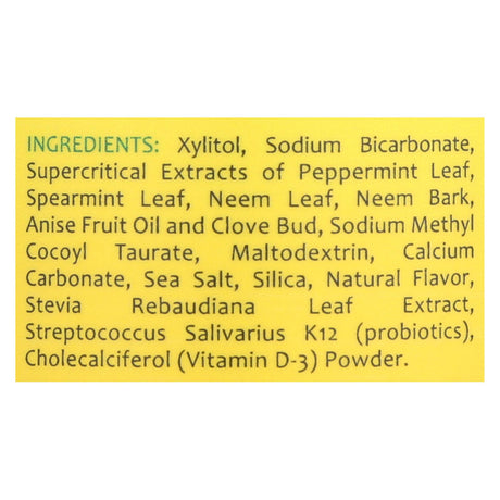 Theraneem Naturals Gentle Mint TheraNeem Neem Tooth & Gum Powder - 40 Gram - Cozy Farm 