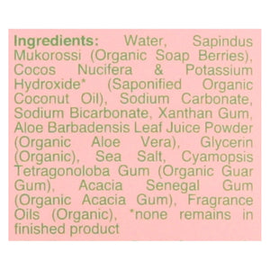 Rebel Green Delicates Laundry Detergent - Pink Lilac Scent - 4 x 32 Fl Oz - Cozy Farm 