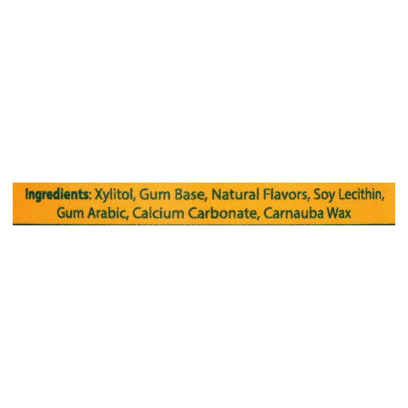 Epic Dental Sugar-Free Xylitol Gum, 50 Pieces - Fresh Fruit Flavor - Cozy Farm 