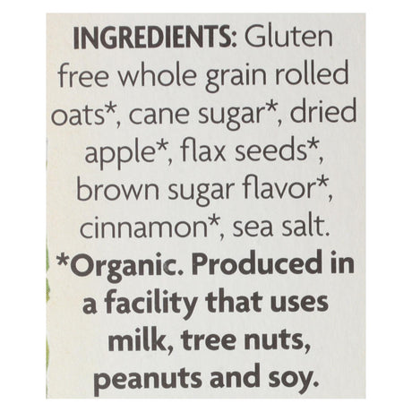 Nature's Path Organic Hot Oatmeal: Spiced Apple with Flax, 11.3 Oz (Pack of 6) - Cozy Farm 