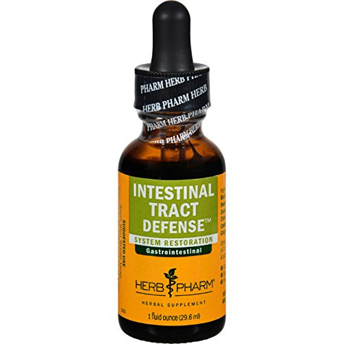 Herb Pharm Intestinal Tract Defense Liquid Extract - 1 Fl Oz - Cozy Farm 