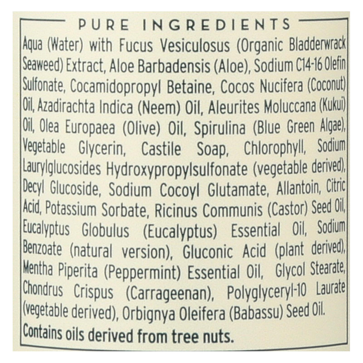 The Seaweed Bath Co Eucalyptus & Peppermint Body Wash - 12 Fl Oz - Cozy Farm 