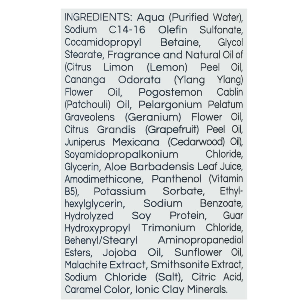 Zion Health Shampoo Minerals Regenerate - 16 Oz - 1 Each - Cozy Farm 