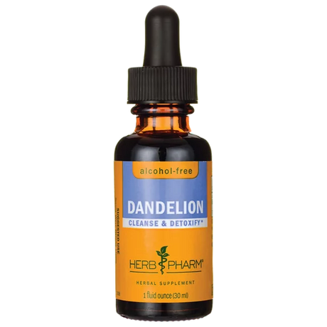 Herb Pharm Dandelion Glycerite - 1 Fl Oz - Cozy Farm 