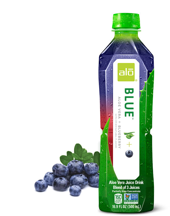 Alo Blue Avocado Juice with Blueberry 16.9 Fl Oz (Pack of 12) - Cozy Farm 