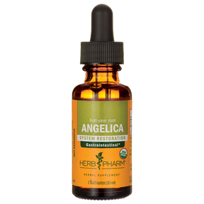 Herb Pharm Angelica Root - 1 Fl Oz - Cozy Farm 