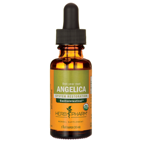 Herb Pharm Angelica Root - 1 Fl Oz - Cozy Farm 