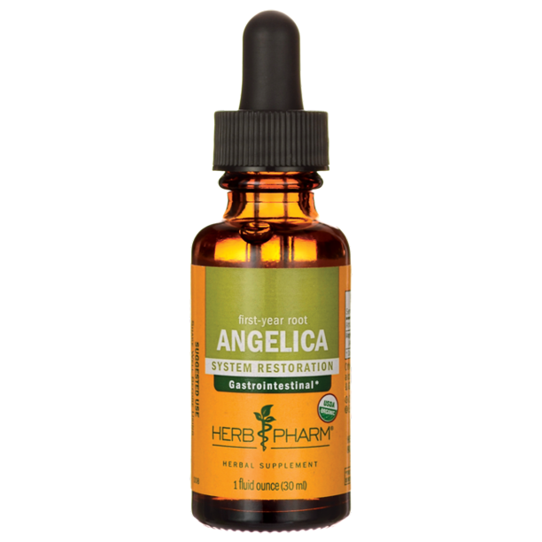 Herb Pharm Angelica Root - 1 Fl Oz - Cozy Farm 