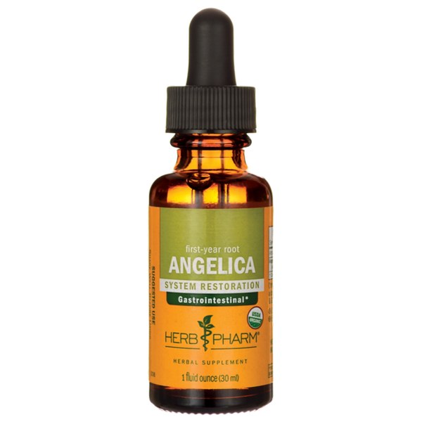 Herb Pharm Angelica Root - 1 Fl Oz - Cozy Farm 